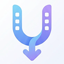 Download Icon